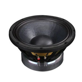 10 INCH SPEAKER