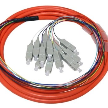 12 FEET CABLE |5CT BUNCH