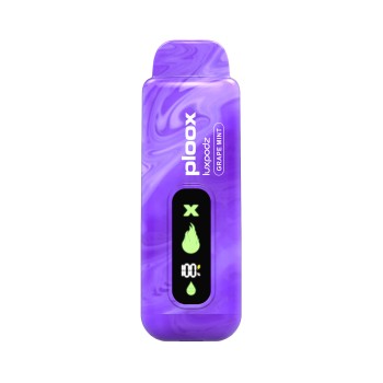PLOOX | 15000 | 5CT | GRAPE MINT
