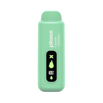PLOOX | 15000 | 5CT | SPEARMINT