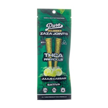PURO | ZAZA JOINTS | JULIUS CAESER